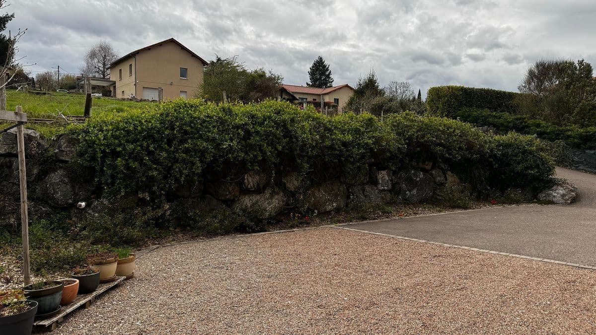 Taille de haie, tonte et remise en état jardin