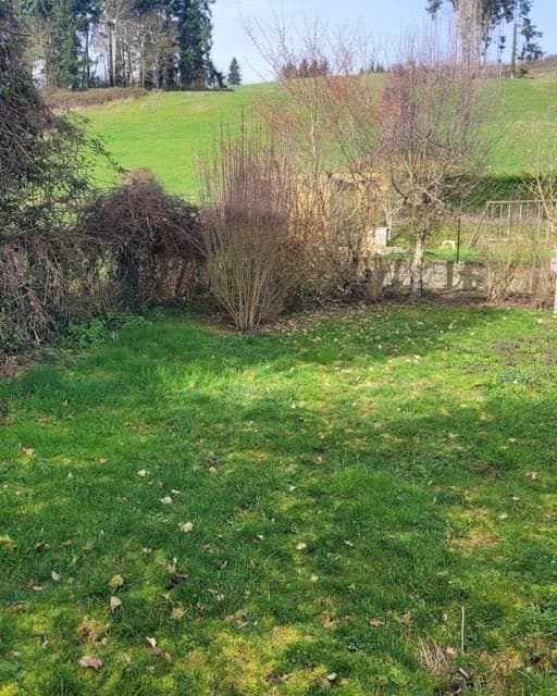 Débroussaillage terrain, désherbage, évacuation